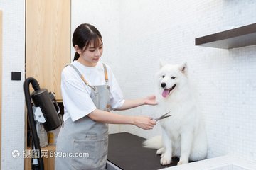 TPWallet钱包苹果版